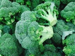 Broccoli powder photo