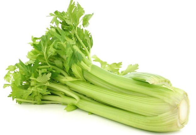 Celery stalk and leaf